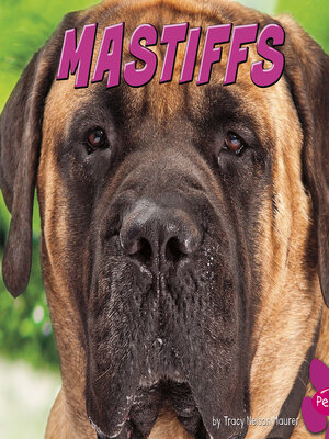 cover image of Mastiffs